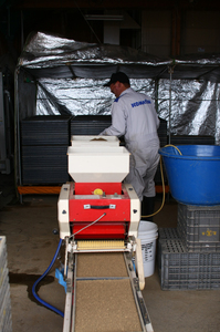 酒米　種機械2.jpg